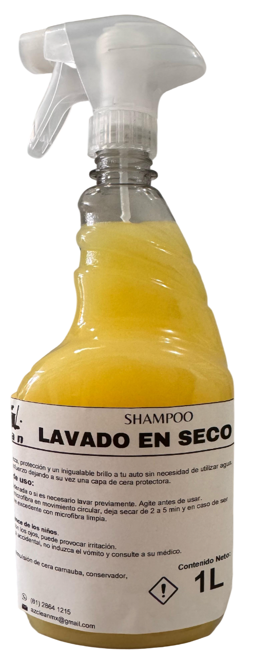 Lavado en Seco